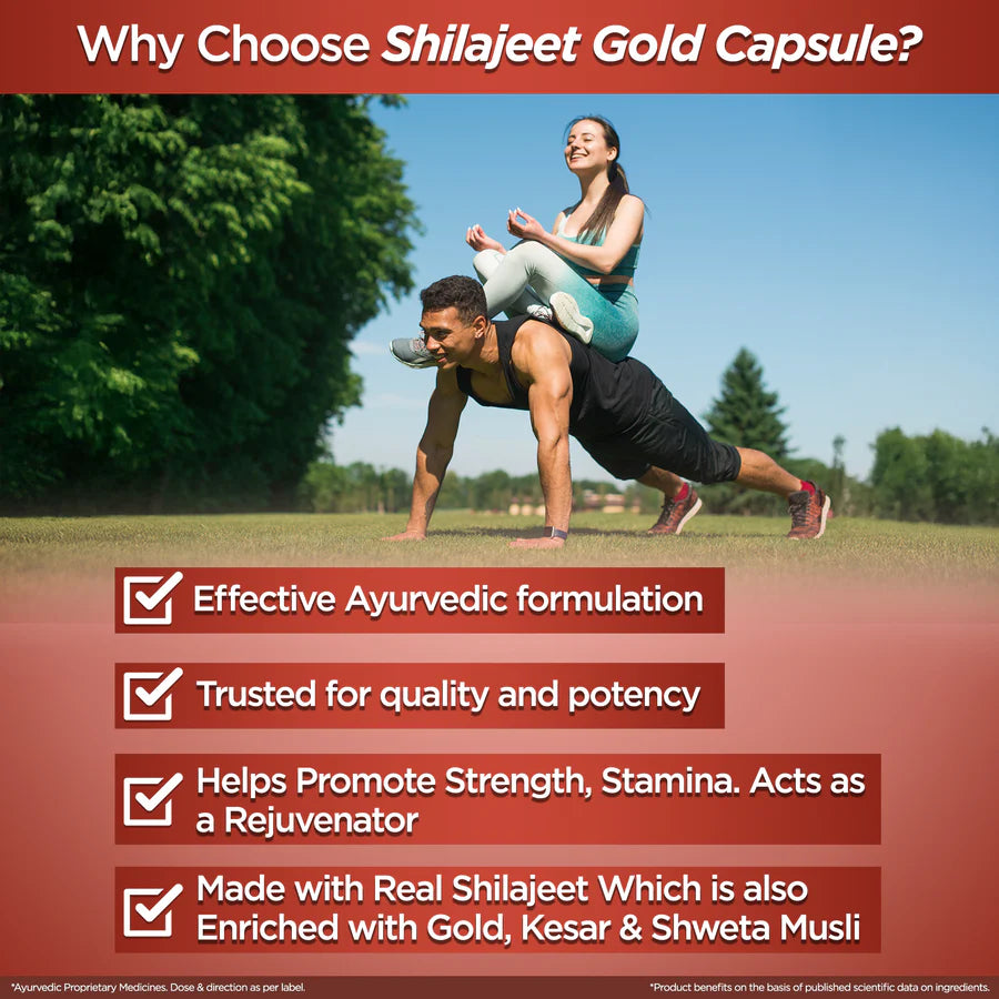 Multani Shilajeet Gold Capsule | For Youthful Living, Stamina & Endurance - 10 Cap(30/Per Capsule)